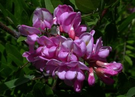 1313_eefe028d