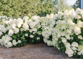 351_source_16875422546