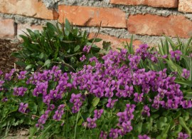 april_14_059