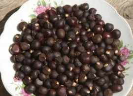 chekankinoreh4-500x500