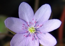 dsc08275