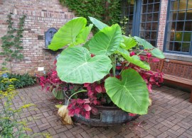 image95