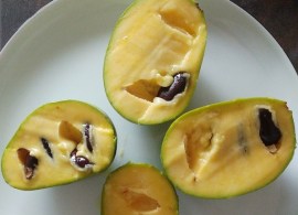 indianerbanane-frucht-aufgeschnittenmc83ojavblbkd_600x600